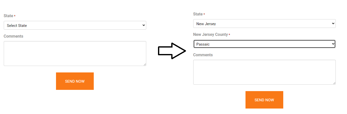 conditional form website feature