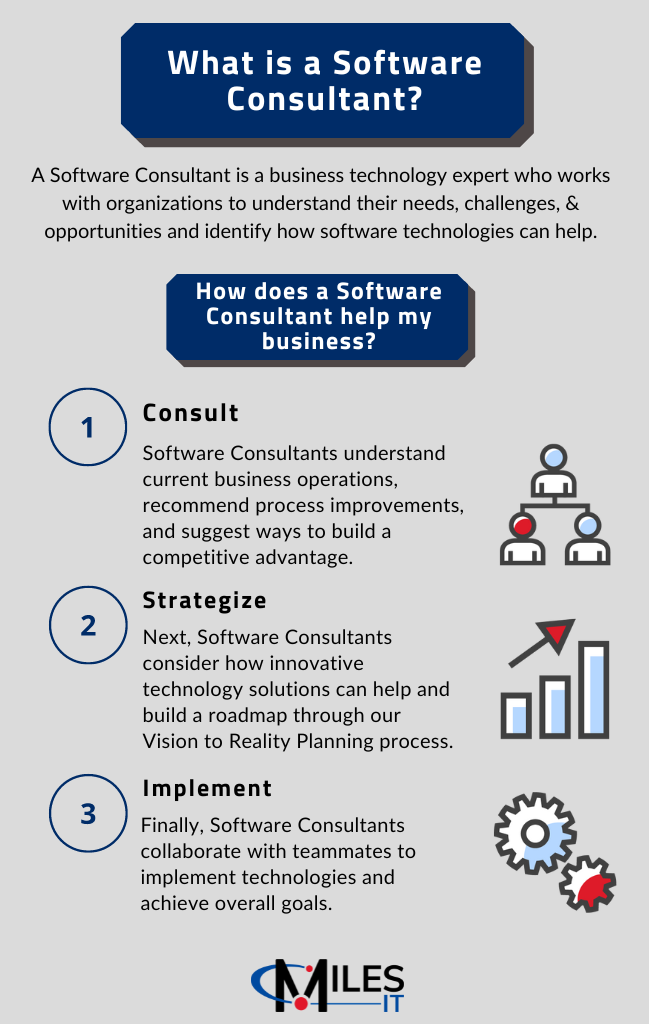 Software consultant overview